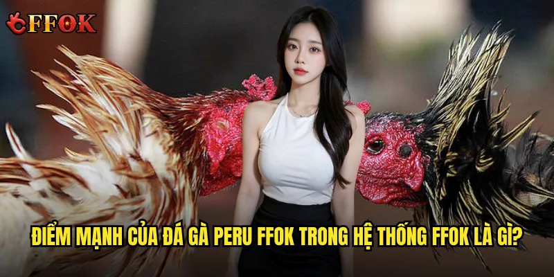 Tại sao Đá gà Peru ffok lại gây sốt với người chơi cá cược hiện nay? 2 Điểm mạnh của đá gà Peru ffok trong hệ thống ffok là gì?