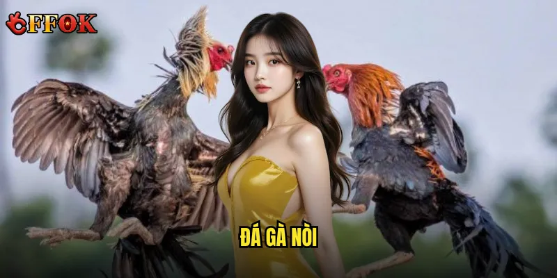 Đá gà nòi – Liệu có thật sự hấp dẫn với người yêu gà thuần Việt? 1 đá gà nòi