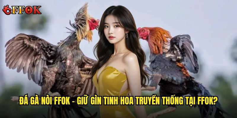 Đá gà nòi – Liệu có thật sự hấp dẫn với người yêu gà thuần Việt? 2 Đá gà nòi ffok – Giữ gìn tinh hoa truyền thống tại ffok?